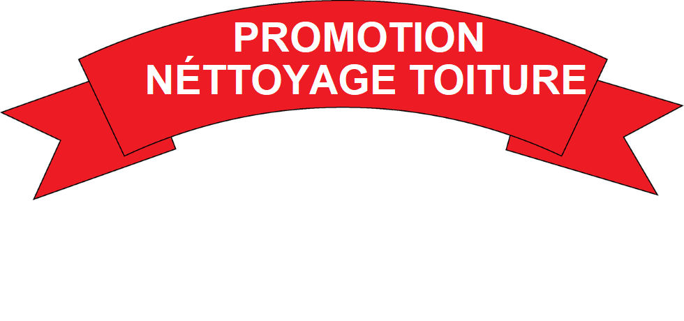 Promotion Nettoyage Toiture